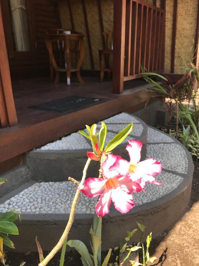 Meno Madia Bungalows Gili Meno Zewnętrze zdjęcie