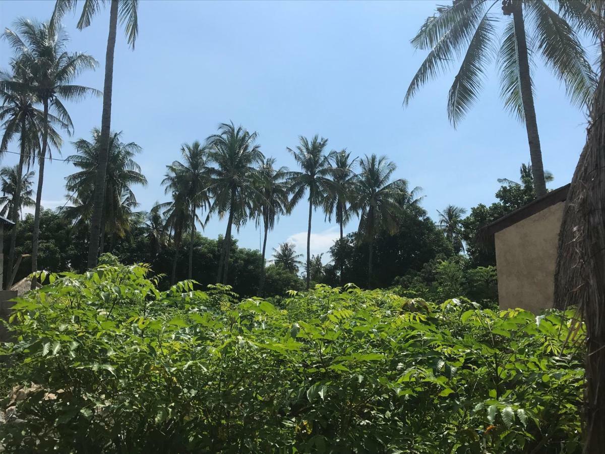 Meno Madia Bungalows Gili Meno Zewnętrze zdjęcie