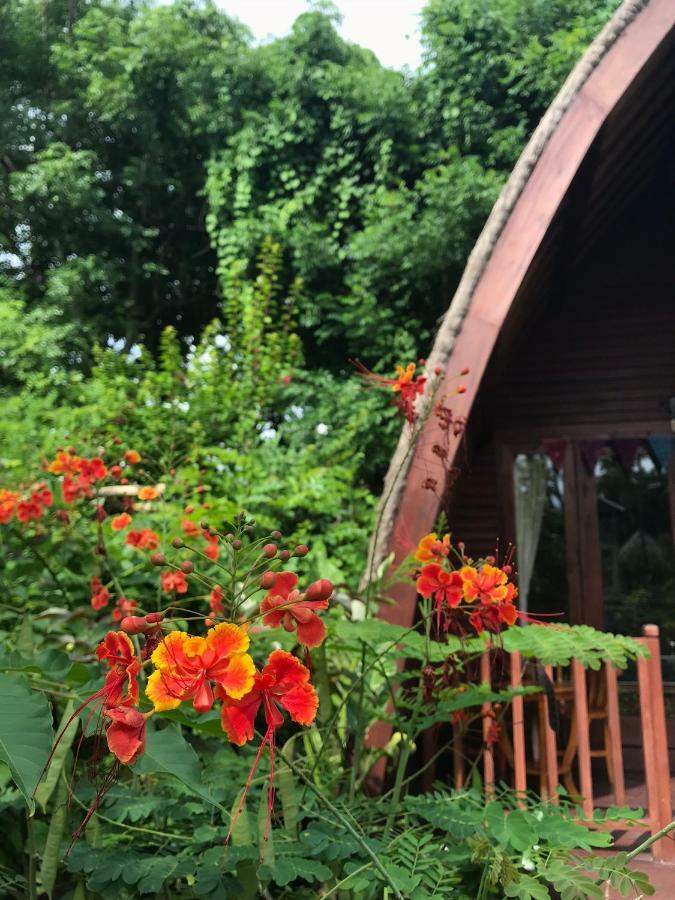 Meno Madia Bungalows Gili Meno Zewnętrze zdjęcie