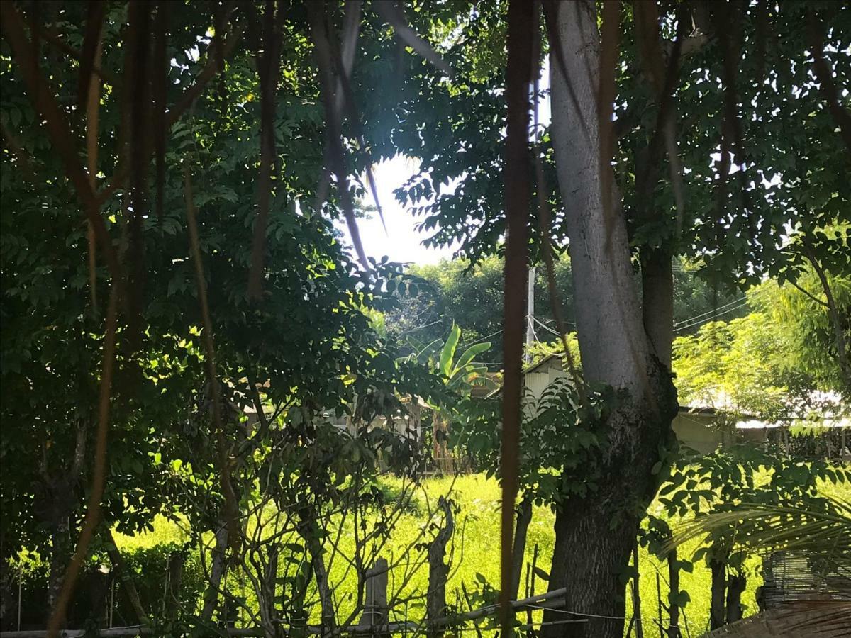 Meno Madia Bungalows Gili Meno Zewnętrze zdjęcie