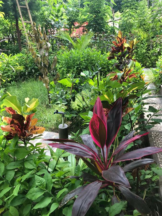 Meno Madia Bungalows Gili Meno Zewnętrze zdjęcie