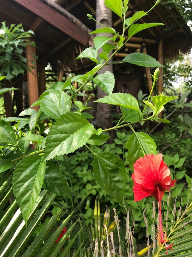 Meno Madia Bungalows Gili Meno Zewnętrze zdjęcie
